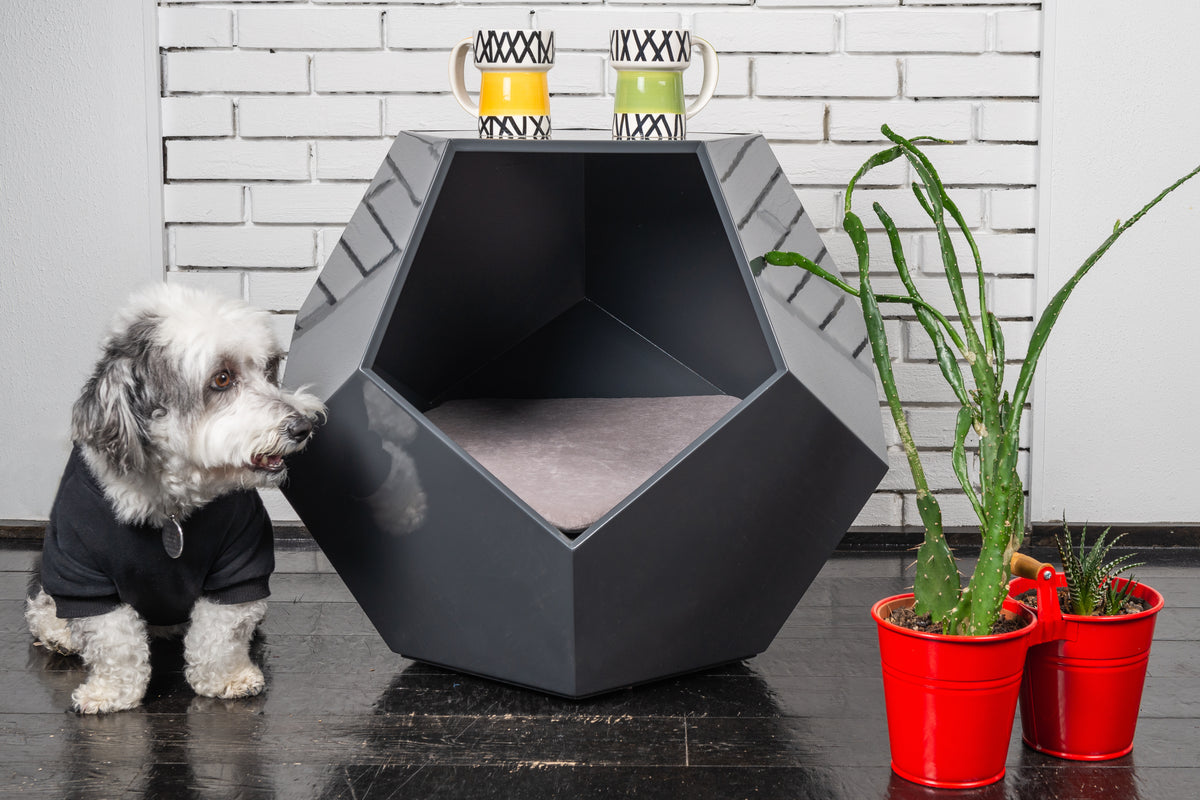 Dog proof coffee table new arrivals